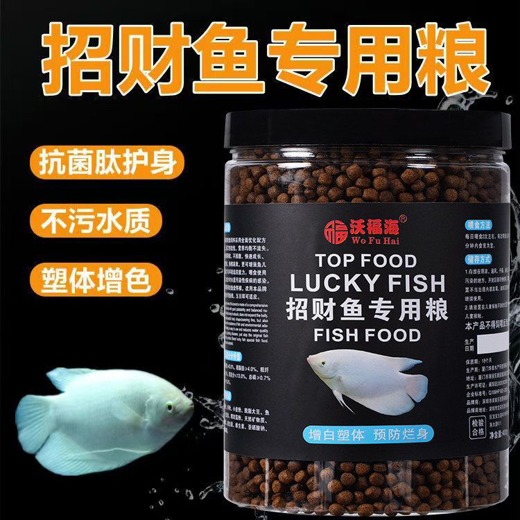 招财鱼饲料专用鱼食抗病防烂身