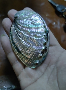 AAA级鲍鱼壳珍珠层原片纯手工剥离外中皮层珠宝级虹彩