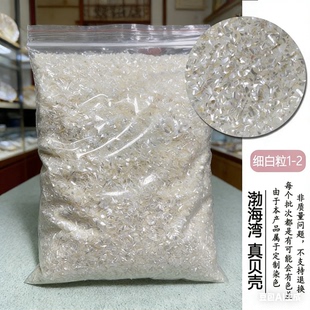 天然贝壳本色白螺钿碎片颗粒DIY美甲装饰手工不规则贴片艺术材料