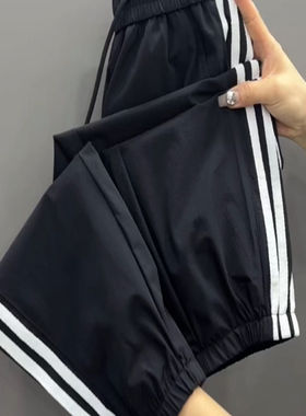 大码复古三条杠速干显瘦哈伦裤女
