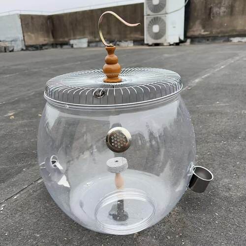 百灵科云雀小沙凤头鸟笼