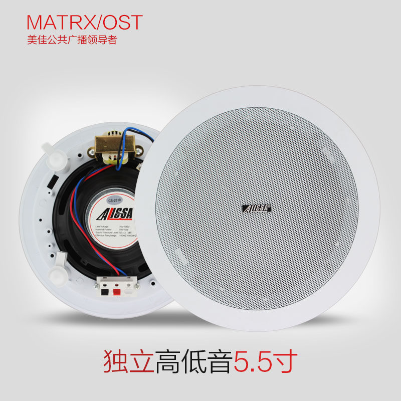 MATRX/2509 天花喇叭 吸顶音箱喇叭 音响 同轴喇叭 带高低音