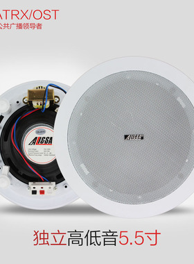 MATRX/2509 天花喇叭 吸顶音箱喇叭 音响 同轴喇叭 带高低音