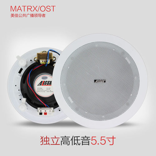 MATRX/2509 天花喇叭 吸顶音箱喇叭 音响 同轴喇叭 带高低音