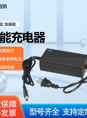 带风扇8.4V12.6V13.5V15V16.8V21V25.2V29.4V3A5A锂电池充电器线