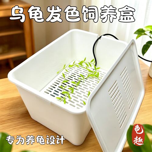 乌龟发色盒幼龟孵化饲养盒蛋龟龟苗饲养套盒带沉淀板大中小号