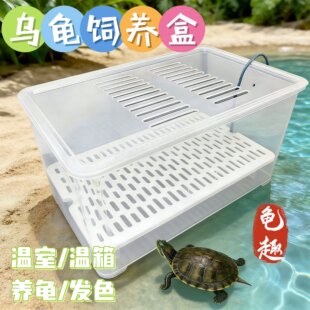 中号乌龟发色孵化幼龟饲养盒蛋龟鱼缸加温隔离龟苗盒发色盒