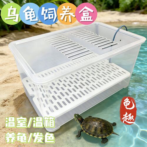 中号乌龟发色孵化幼龟饲养盒蛋龟鱼缸加温隔离龟苗盒发色盒