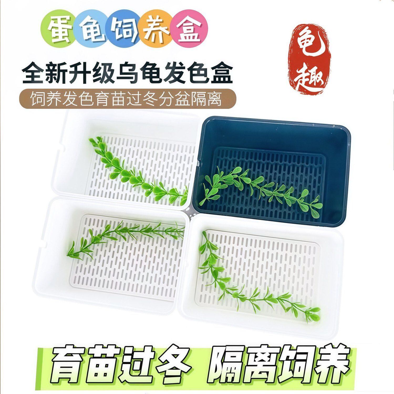 乌龟饲养盒幼龟龟苗饲养盒蛋龟加爬宠缸/箱