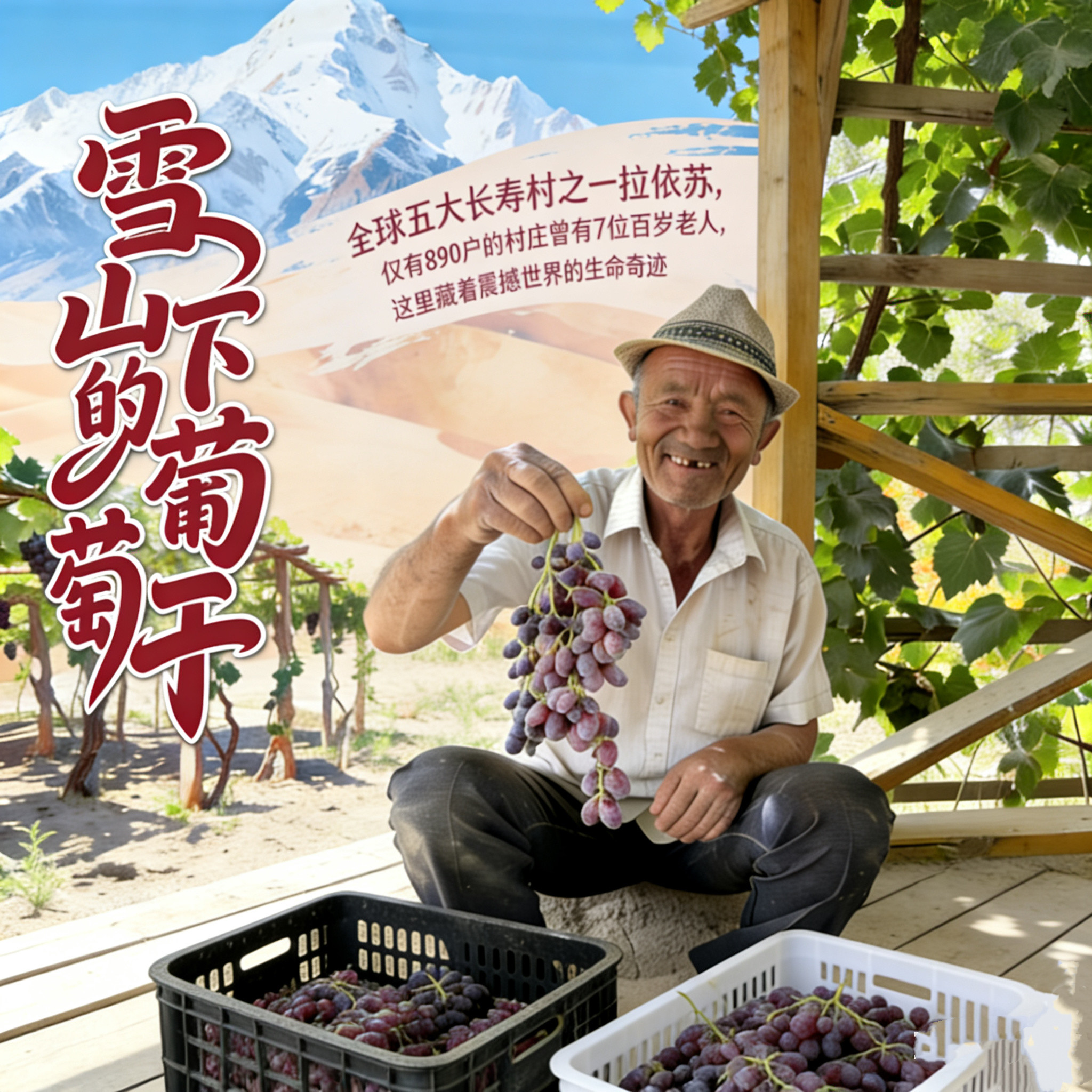 忘城|雪山下的葡萄干自然晾晒老品种带籽肉厚籽香香甜新疆葡萄干
