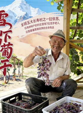 忘城新疆自然晾晒带籽肉厚葡萄干