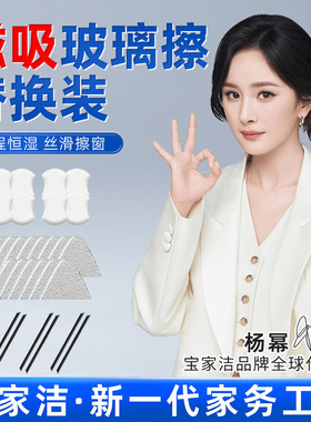 BAOJIAJIE/宝家洁双面调磁擦玻璃器替换装 清洁棉C12/C57/C19