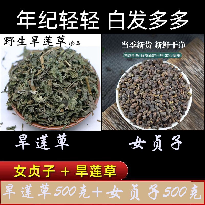 女贞子旱莲草野生中药材二至丸原药材墨旱莲精选原材组合汤茶正品