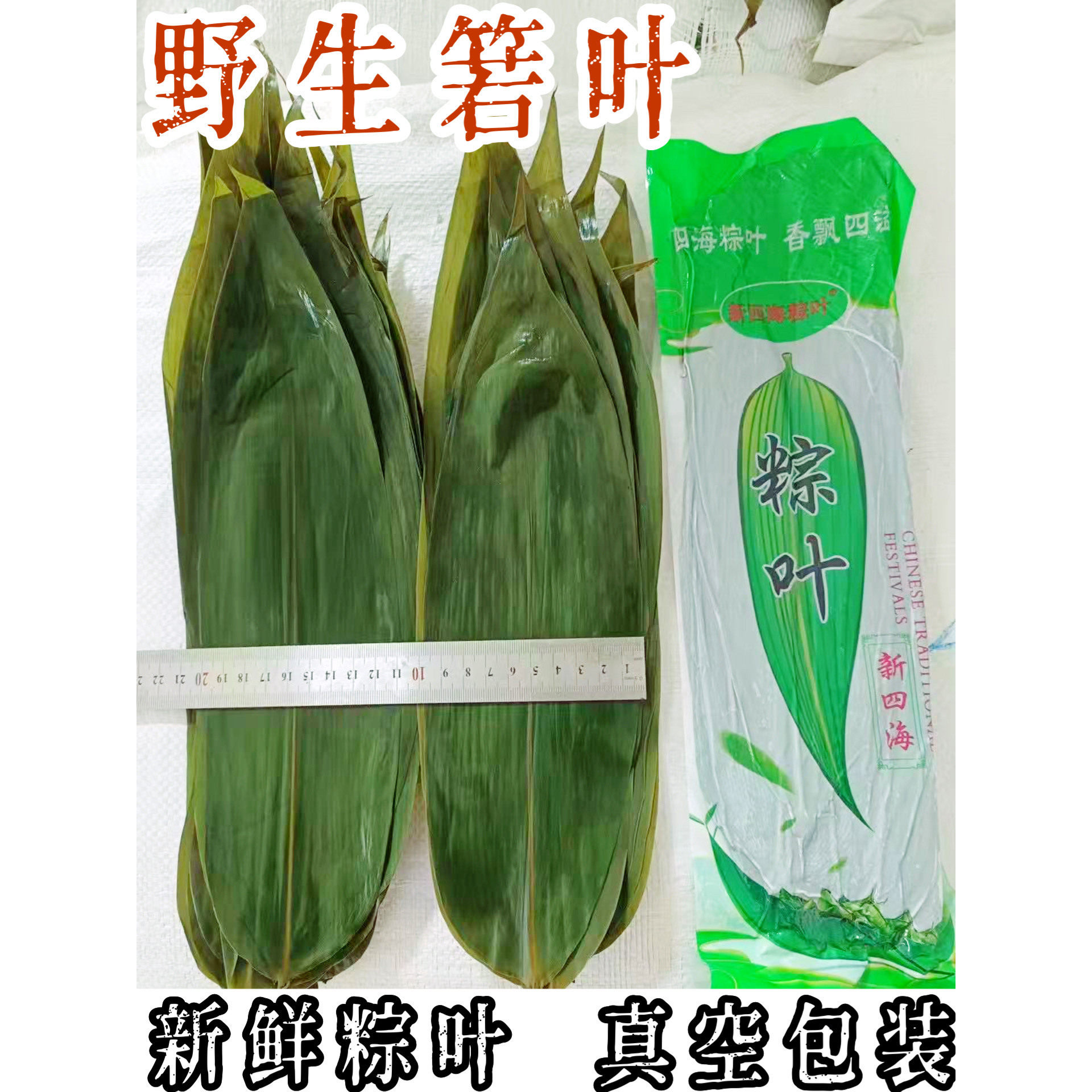 新鲜粽叶大号天然野生真空包装