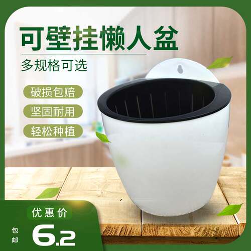 壁挂懒人盆水养塑料垂吊桌面绿植