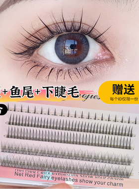 单簇A型下睫毛鱼尾仙子混合装