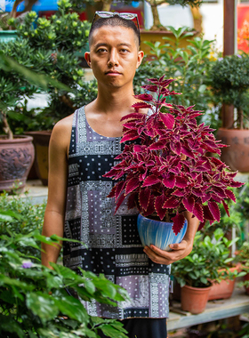 Shounenn Studio植物西海岸嘻哈迷彩腰果花运动网眼透气潮牌背心