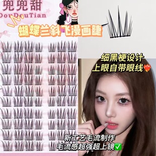 好强的睫张力！蝴蝶兰小信子假睫毛新国风系单簇大眼分段黑梗毛流
