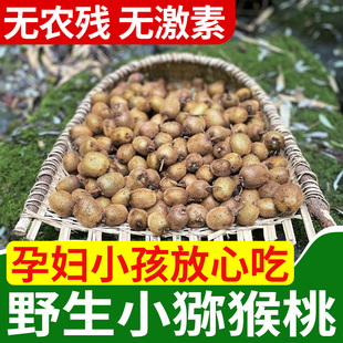 孕妇水果泡酒弥猴桃 野生小猕猴桃迷猴应季 秦岭野生猕猴桃新鲜 包邮