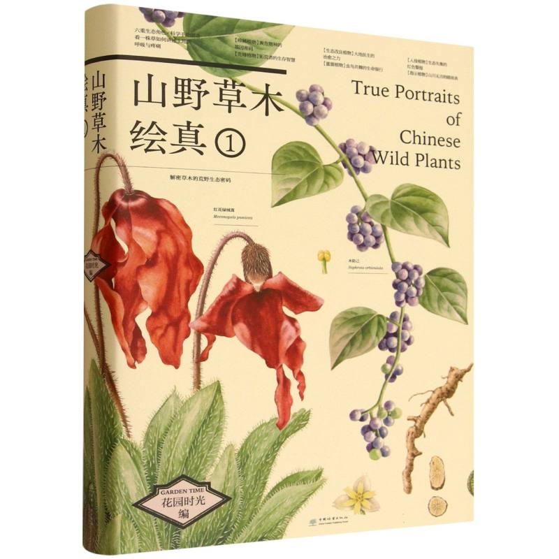 （正版包邮）山野草木绘真9787521931839中国林业出版社