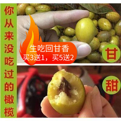 潮汕现摘新鲜百年老枞纳种青橄榄生青果三捻橄榄孕妇水果回味甘甜
