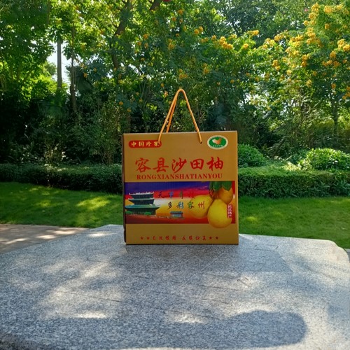 礼盒容县沙田柚蜜柚纸箱包装礼盒