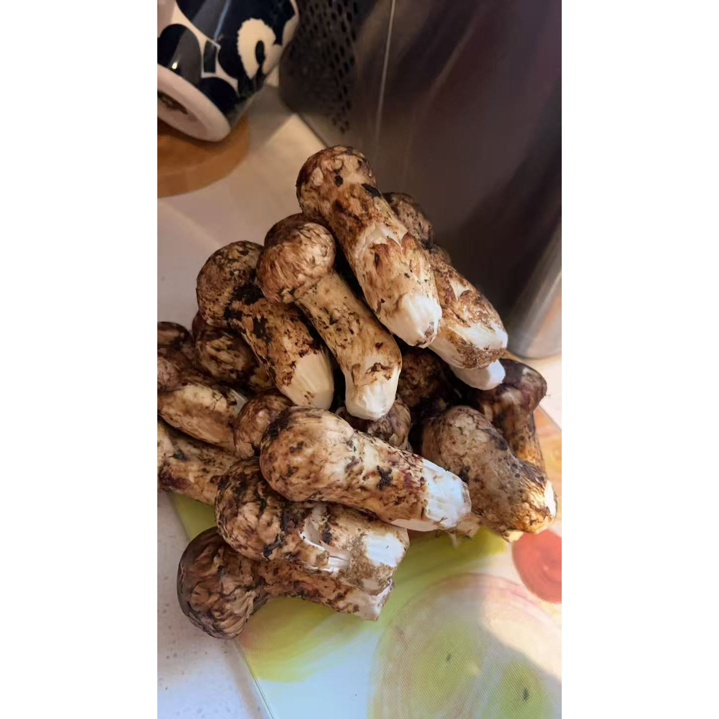 香格里拉松茸直发包邮顺丰空运