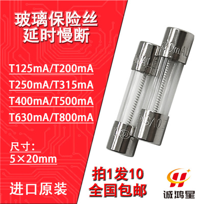 玻璃保险丝管T125/200/250/315/400/500/630/800mAL250V延时进口