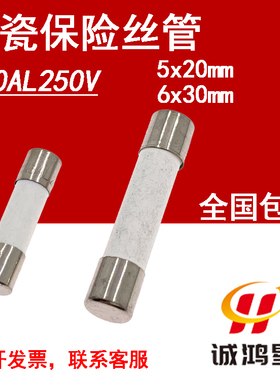 F30AL250V快熔断30A保险丝5x20/6*30mm熔断器陶瓷保险管