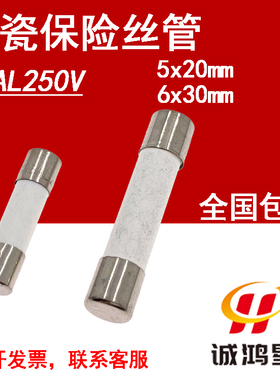 F2AL250V快熔断2A保险丝5x20/6*30mm熔断器陶瓷保险管