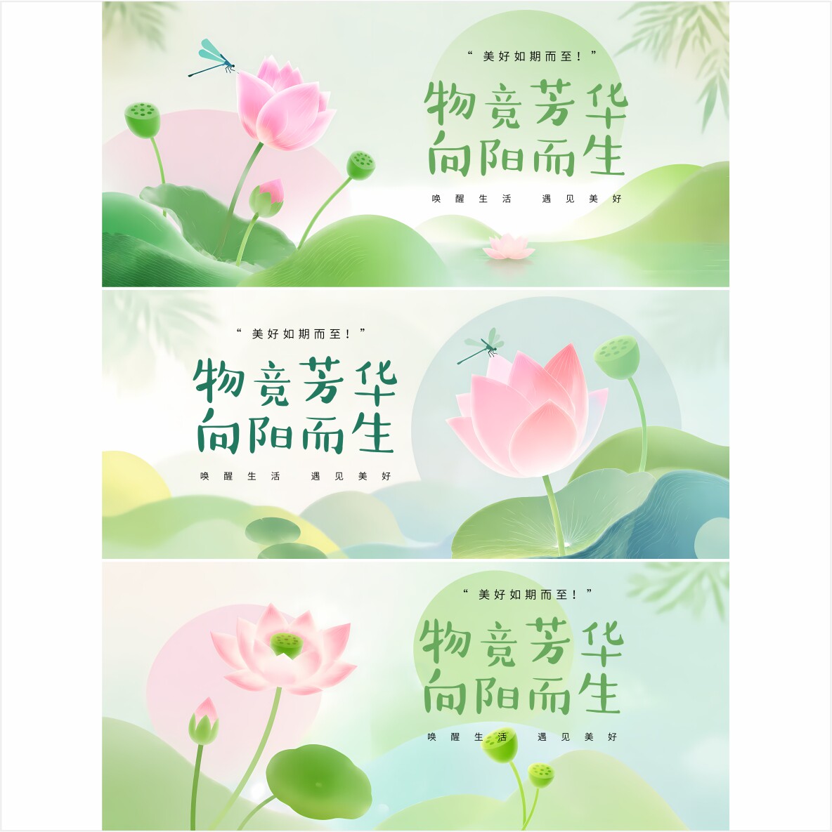 3套背景 荷花 荷花背景 活动背景 封面 ppt封面 绿色背景 0534