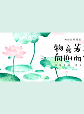 荷花 荷花背景 活动背景 封面 ppt封面 绿色背景 夏日背景 0561