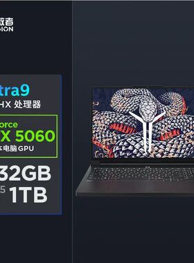 Lenovo/联想 拯救者 Y9000P/R9000P2025款5060新款游戏笔记本电脑