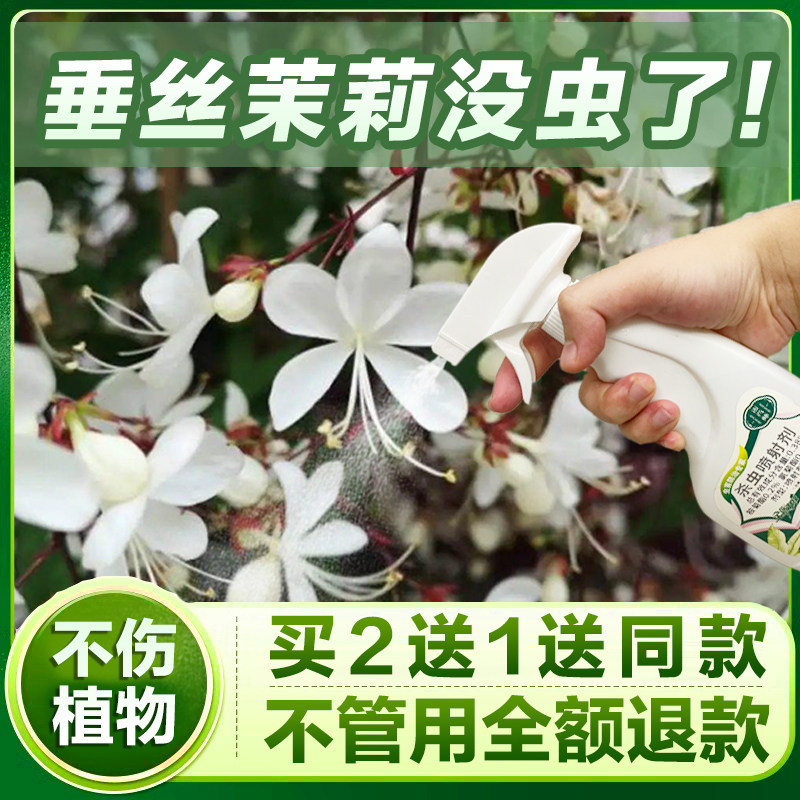 垂丝茉莉杀虫剂花卉植物土壤灭盆栽小飞虫药蚧壳虫蚜虫打虫家用