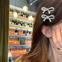 Сверкающий бантик и пара зажимов для утконосов.