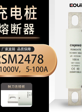 DC1000V充电桩熔断器RSM2478汽车熔断器RS309 FWH100A HEV100A