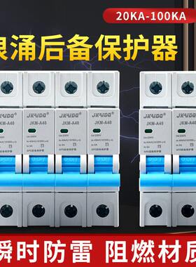 浪涌保护器单相家用2P工业电源