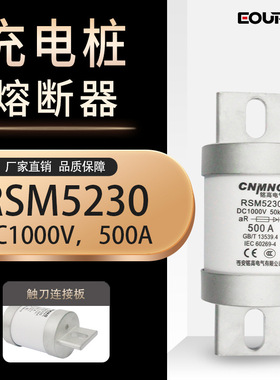 欧熔直流充电桩用DC1000VRSM5230(RS309)圆管新能源汽车熔断器