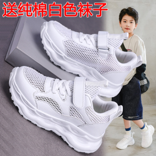 夏季儿童小白鞋男童白色运动鞋幼儿园学生旅游鞋中大女童轻便跑鞋