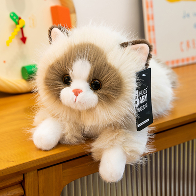 抱抱宝贝可爱布偶猫玩偶小猫咪