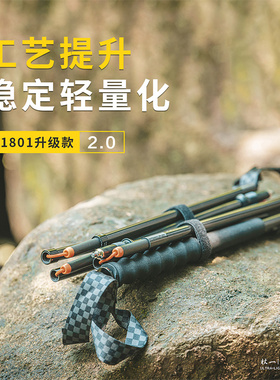 ZENONE杖一超轻登山杖定制碳纤维登山杖户外徒步越野手杖 Z2105