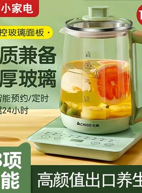 110V养生壶家用多功能全自动电热水壶保温小型烧水壶煮蛋花茶美规