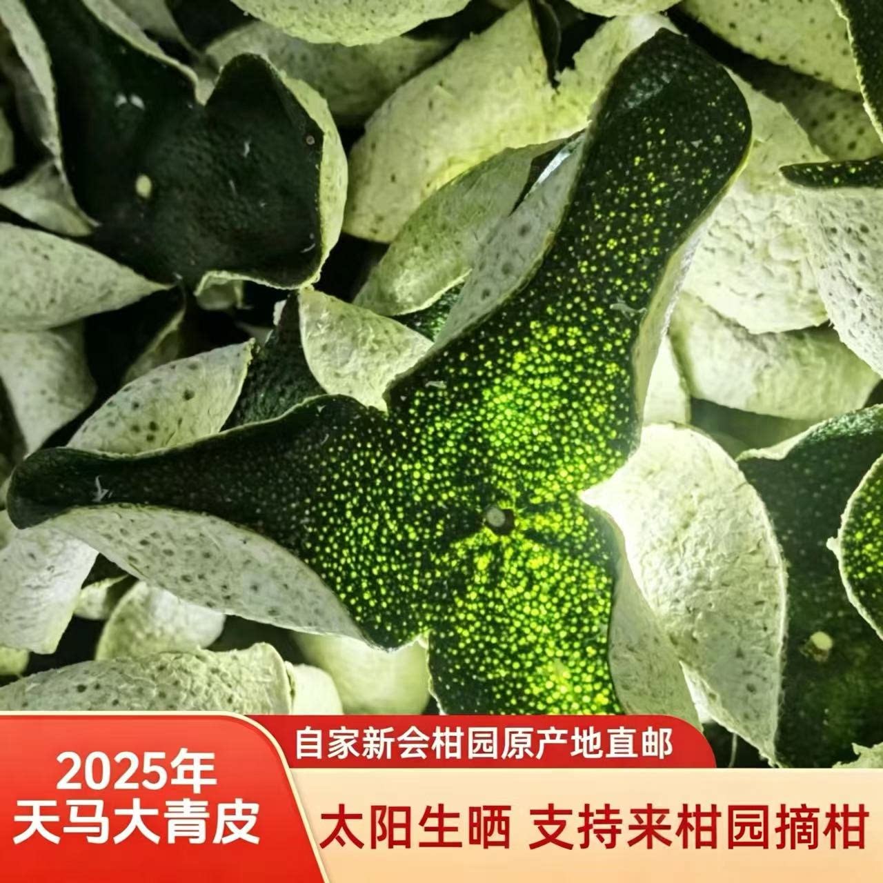 2025年正宗新会天马大青皮柑壳果皮干泡水广东特产柑皮桔子皮橘皮
