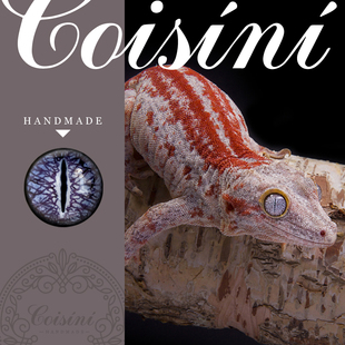 原创DIY手工玩偶配件羊毛毡戳戳乐仿真爬行动物玻璃瞳 盖勾亚守宫