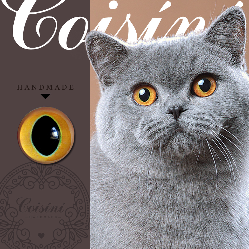 玩偶羊毛毡戳戳乐英短蓝猫