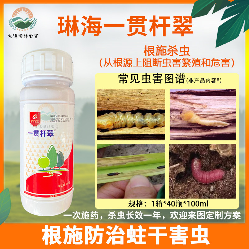 一贯杆翠琳海根灌杀虫剂根灌蛀虫净天牛幼虫吉丁虫蚜虫食叶虫叶蝉