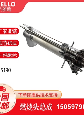 利雅路燃烧头总成RS70 RS100 RS130 RS150 RS190 RS250燃烧枪