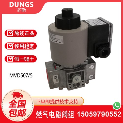 冬斯DUNGS燃气电磁阀点火阀