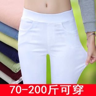 百搭夏天同款弹性裤脚运动裤子女韩版潮流大码裤学生显瘦外出性感
