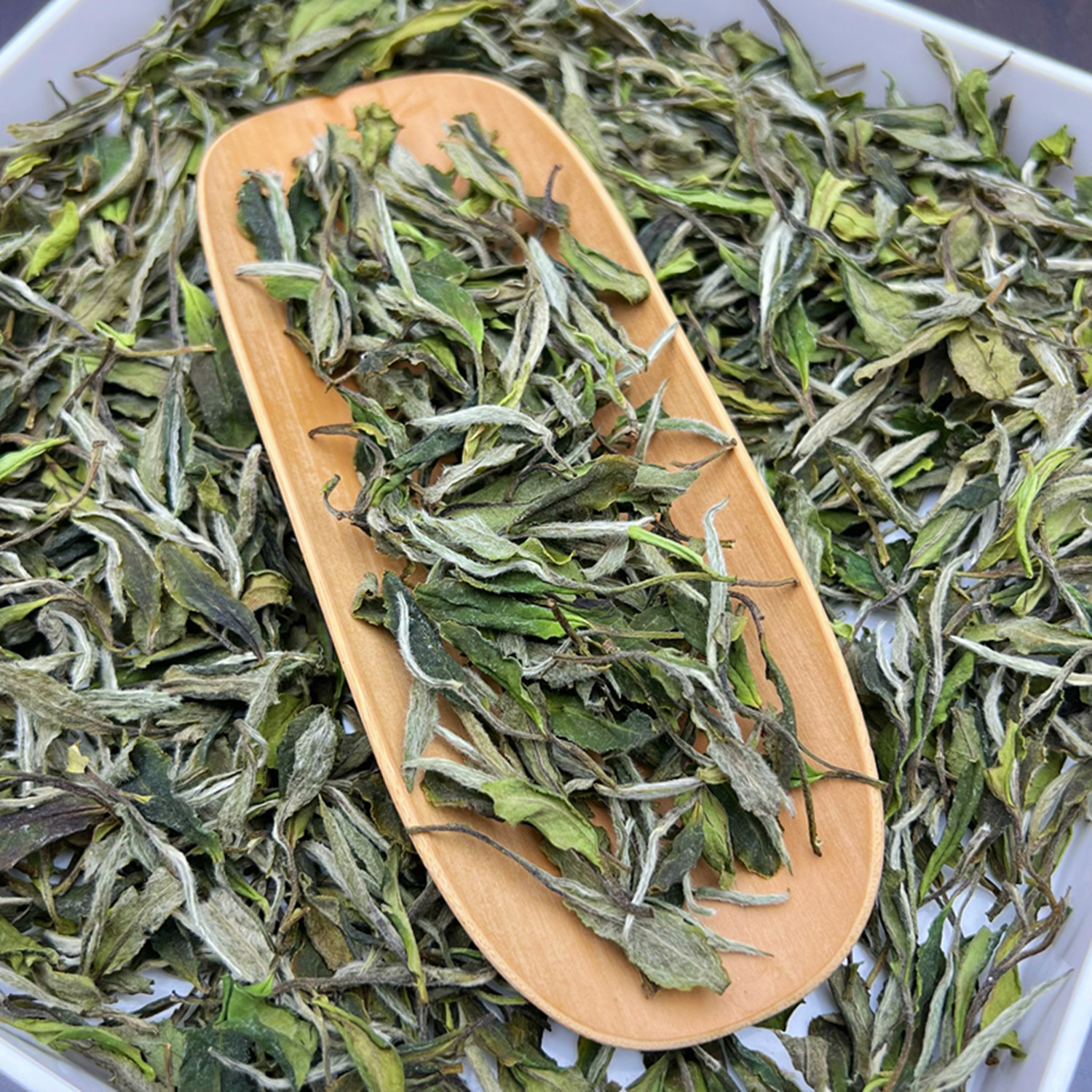 磻溪南广白牡丹白茶2023头春福鼎核心产区带花香250克盒装